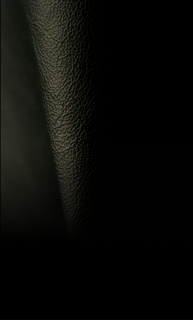 A close-up view of the texture of the dark black Carbon leather.