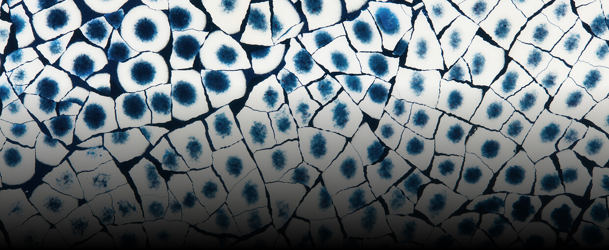 A close up of the texture of Eggshell Snakeskin Sapphire A close up of the texture of Eggshell Snakeskin Sapphire