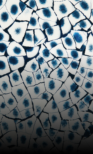 A close up of the texture of Eggshell Snakeskin Sapphire A close up of the texture of Eggshell Snakeskin Sapphire