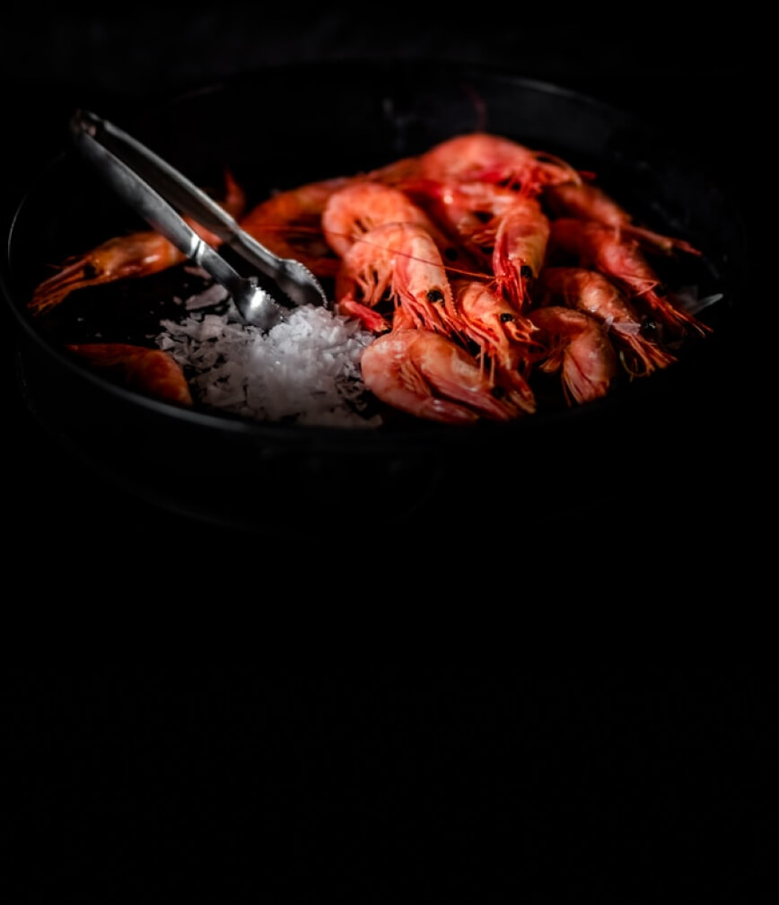 Colorful steamed shrimp in an ice bath.