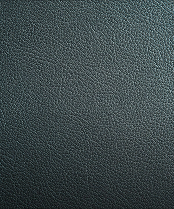 A close up of the Mystic leather texture and color.
