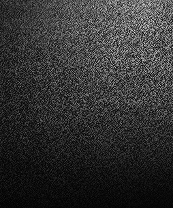 A close up of the Carbon leather texture and color.
