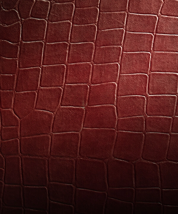 A close up of the Croc leather texture and color.