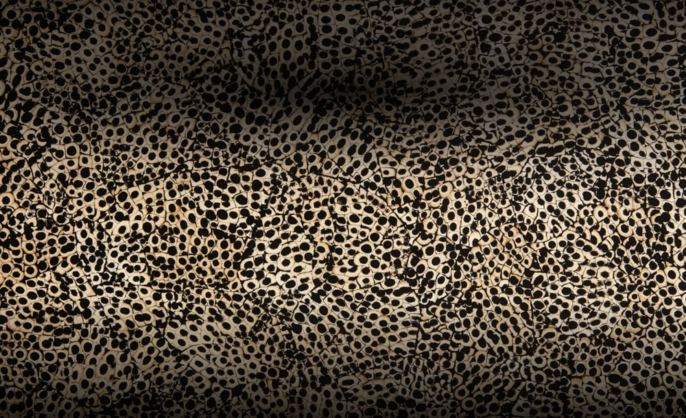A close up of the Eggshell Snakeskin Black