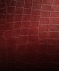 A close up of the Croc leather texture and color.