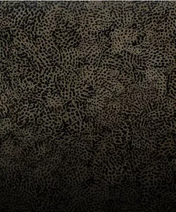 A black and beige snakeskin pattern made out of eggshell, called Eggshell Snakeskin Black.