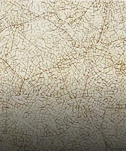 A light beige and brown crackled pattern made out of eggshell, called Eggshell Crackle Sepia.